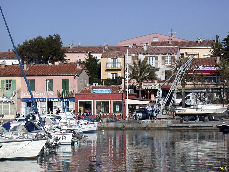 Le brusc (3)