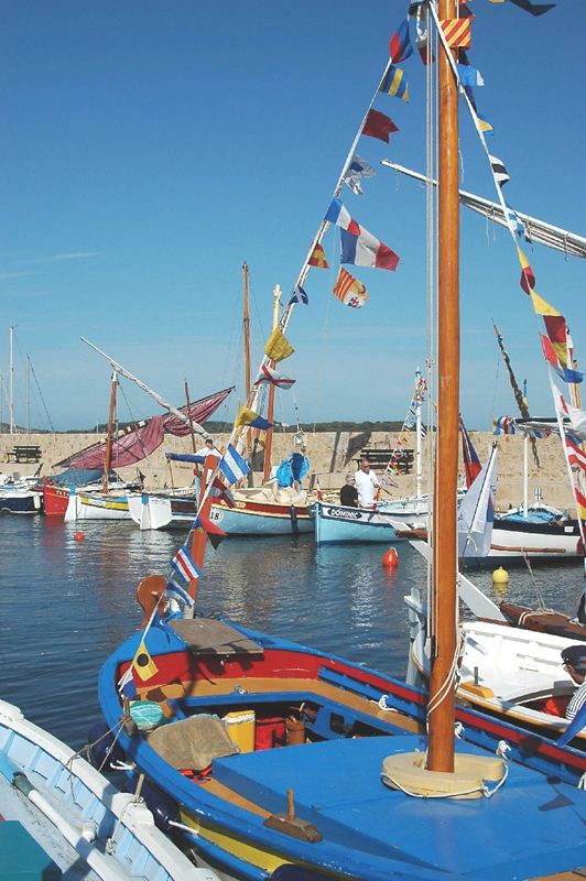 Pointus(3)