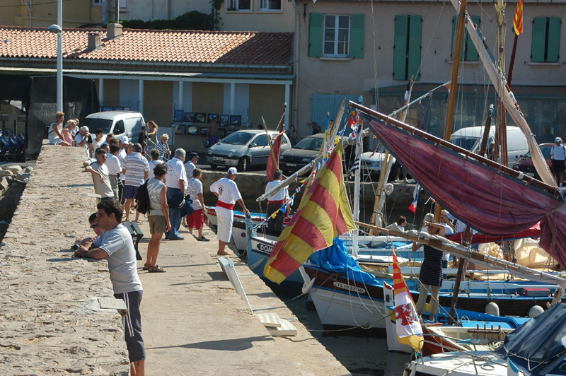 Pointus(3)