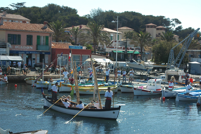 Pointus(3)