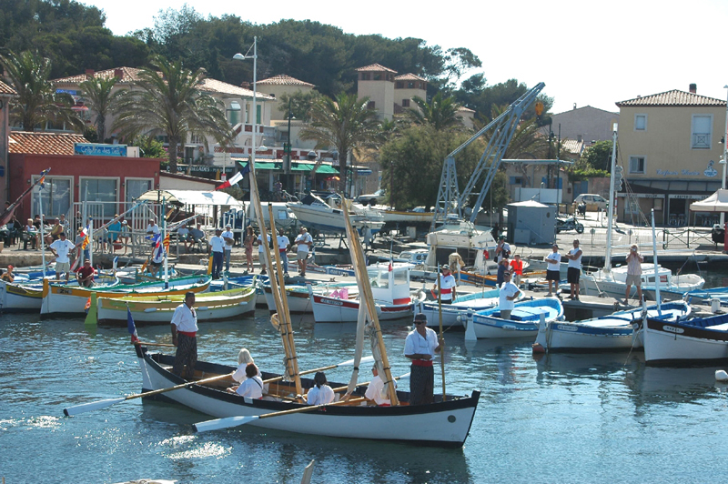 Pointus(3)
