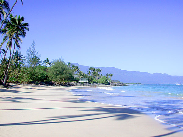 Coconet Cove Maui
