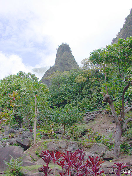 Iao valley
