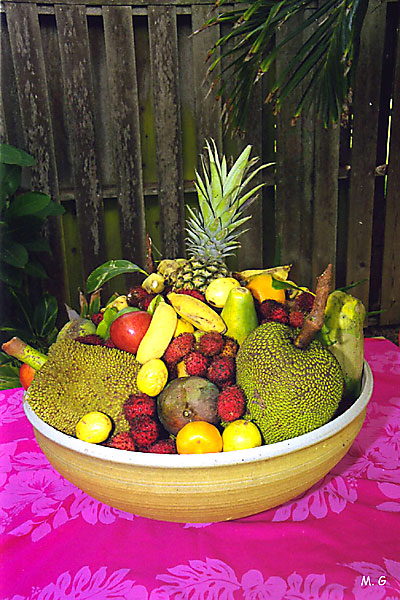 Plantes fruitieres