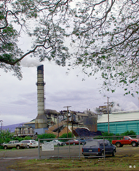 Usine sucre