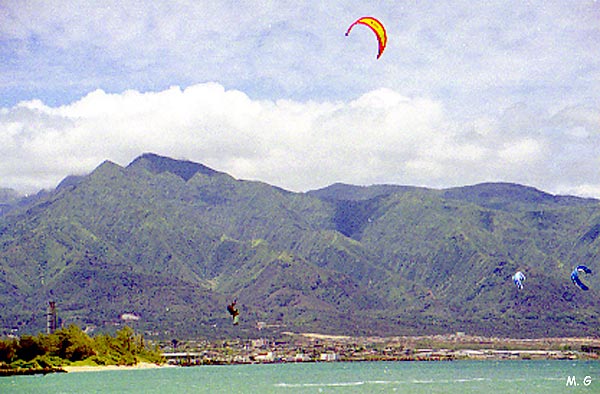 Cote au vent