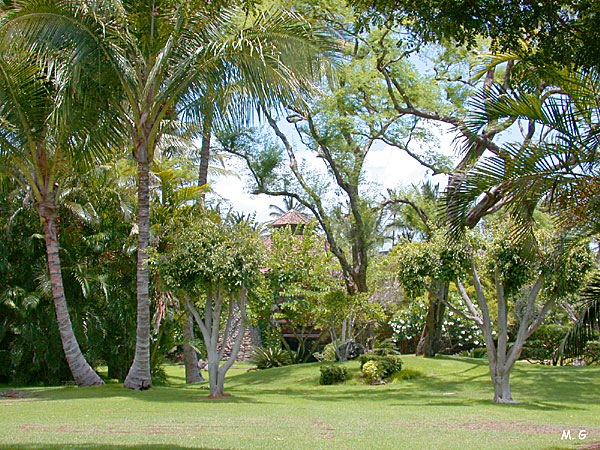 Parcs et jardins