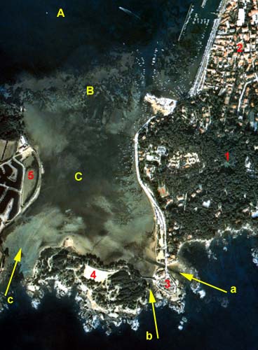photo aérienne de la lagune du Brusc