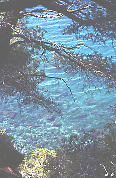 eau