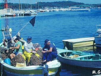 Port de peche