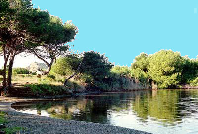 photo de l'île du Grand Gaou