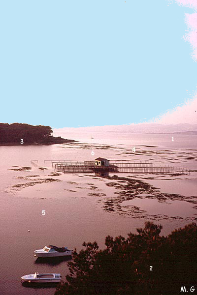 Photo du récif-barrière