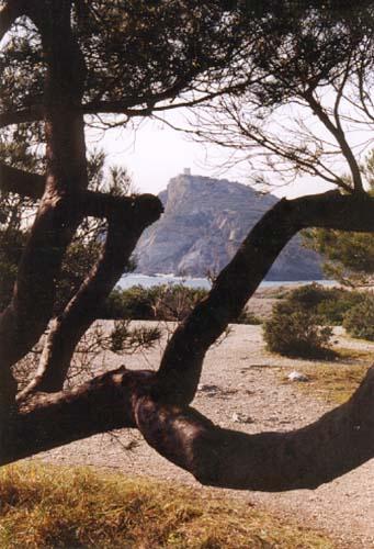 Vue sur l'Île des Embiez