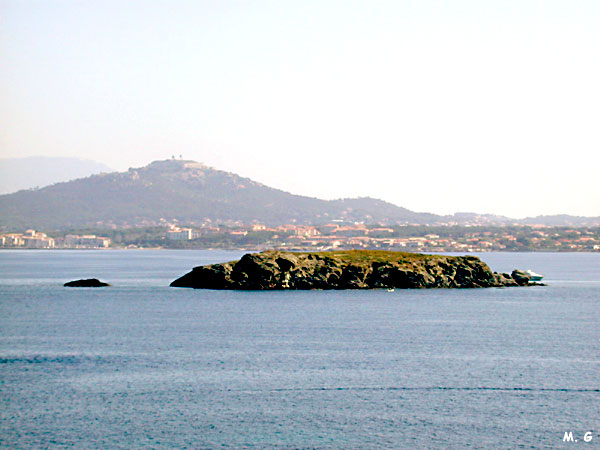 Île du Petit Rouveau