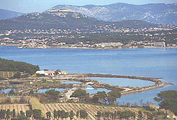 Vue sur les salines et la rade du Brusc